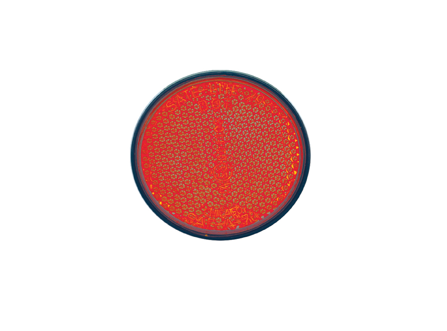 Motorcycle Reflector Round Red/600PK  40-0020-11